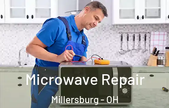  Microwave Repair Millersburg - OH