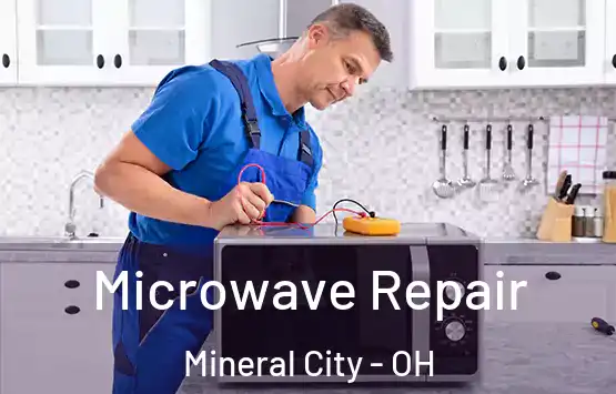  Microwave Repair Mineral City - OH