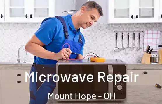  Microwave Repair Mount Hope - OH