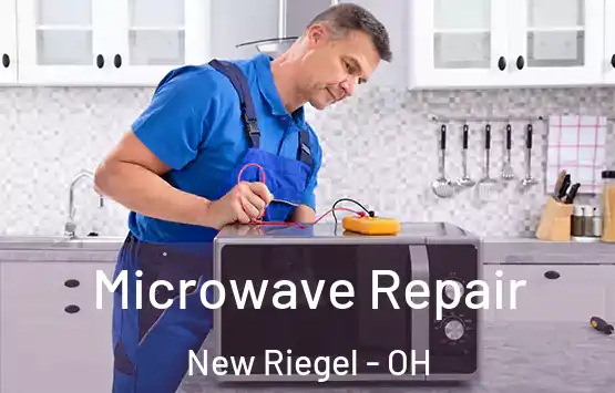  Microwave Repair New Riegel - OH
