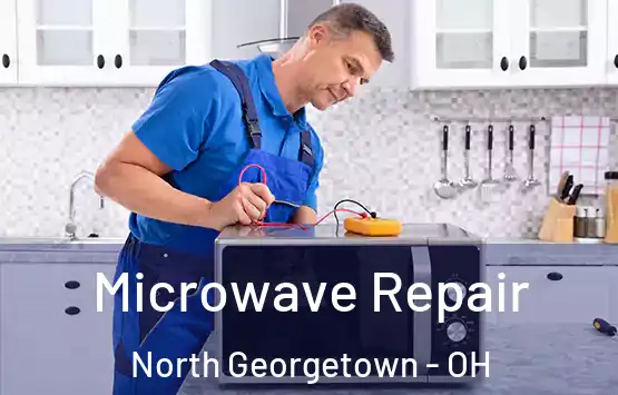  Microwave Repair North Georgetown - OH