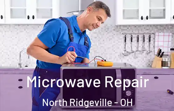  Microwave Repair North Ridgeville - OH