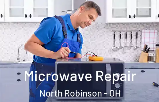  Microwave Repair North Robinson - OH