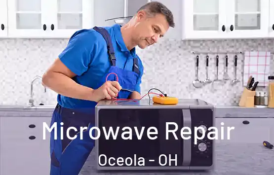  Microwave Repair Oceola - OH