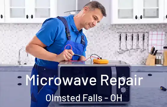  Microwave Repair Olmsted Falls - OH
