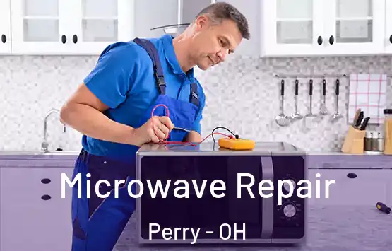  Microwave Repair Perry - OH