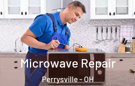  Microwave Repair Perrysville - OH