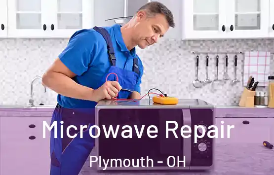  Microwave Repair Plymouth - OH