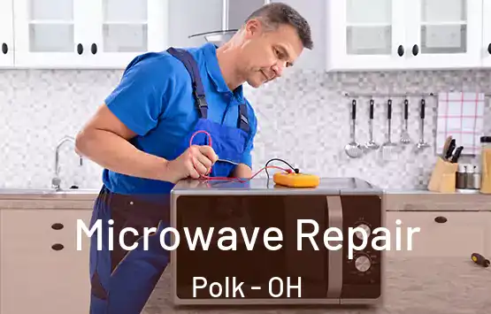  Microwave Repair Polk - OH
