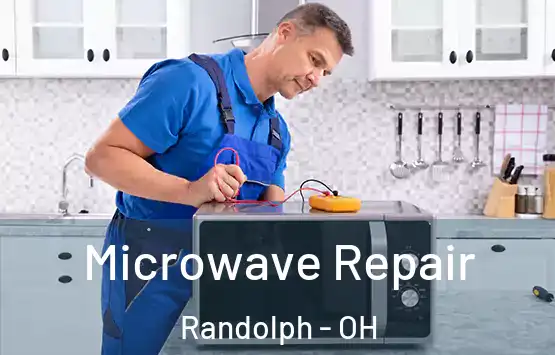 Microwave Repair Randolph - OH