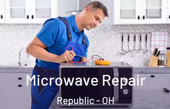  Microwave Repair Republic - OH