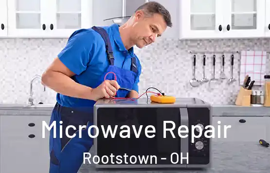  Microwave Repair Rootstown - OH