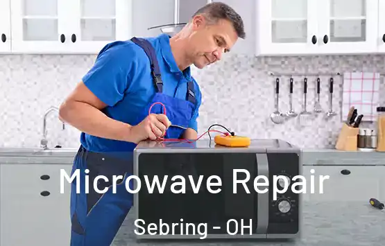  Microwave Repair Sebring - OH