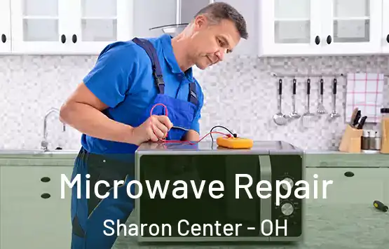  Microwave Repair Sharon Center - OH