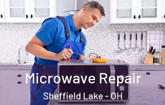  Microwave Repair Sheffield Lake - OH