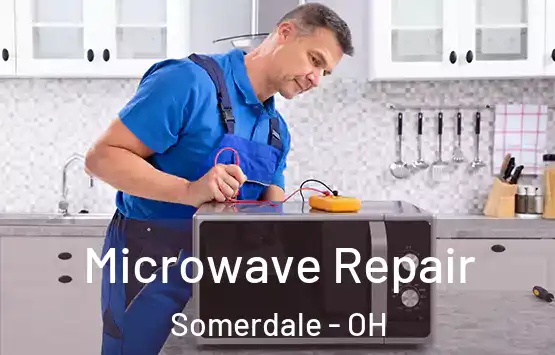  Microwave Repair Somerdale - OH