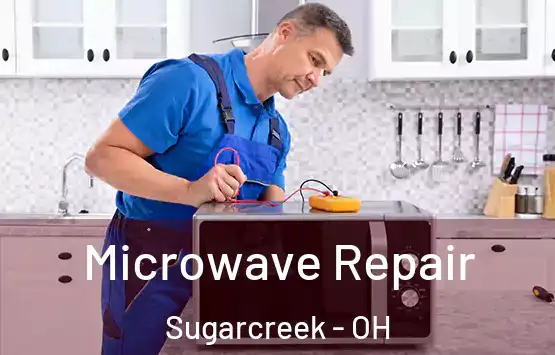  Microwave Repair Sugarcreek - OH