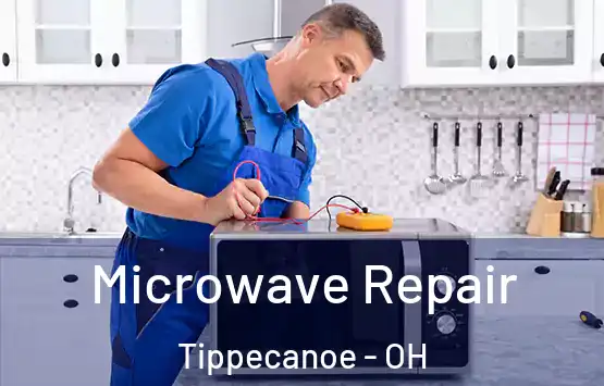  Microwave Repair Tippecanoe - OH
