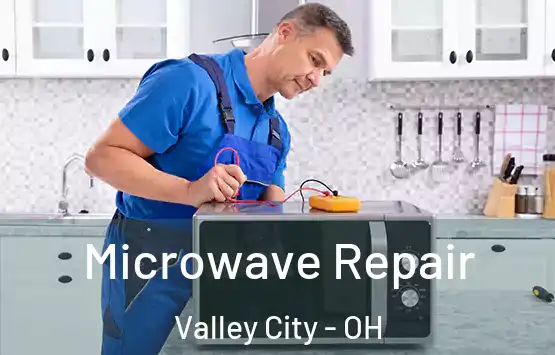  Microwave Repair Valley City - OH