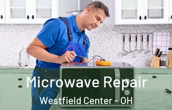 Microwave Repair Westfield Center - OH