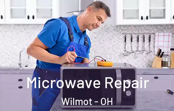  Microwave Repair Wilmot - OH