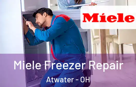  Miele Freezer Repair Atwater - OH