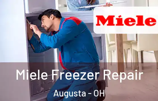  Miele Freezer Repair Augusta - OH