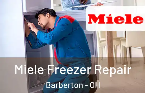 Miele Freezer Repair Barberton - OH