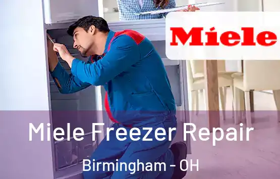  Miele Freezer Repair Birmingham - OH