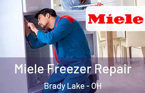  Miele Freezer Repair Brady Lake - OH
