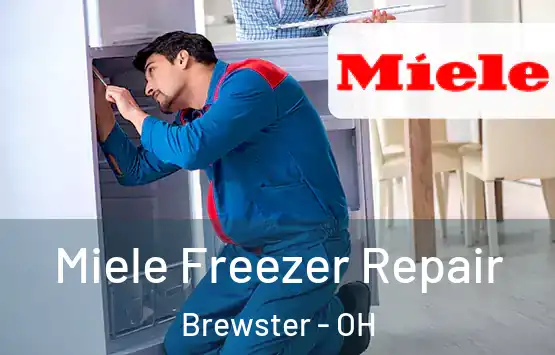  Miele Freezer Repair Brewster - OH