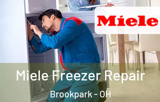  Miele Freezer Repair Brookpark - OH