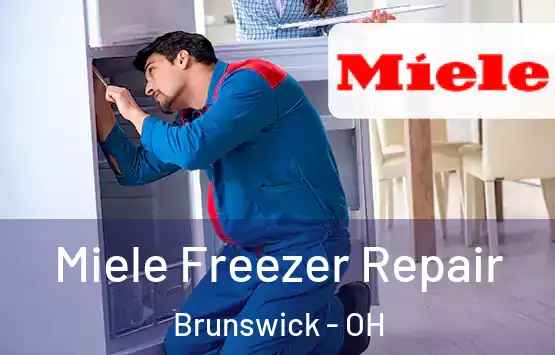  Miele Freezer Repair Brunswick - OH
