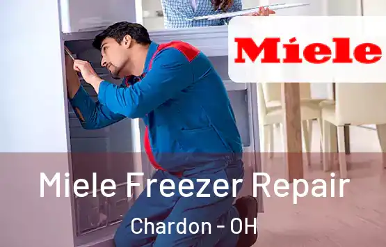  Miele Freezer Repair Chardon - OH