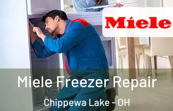  Miele Freezer Repair Chippewa Lake - OH