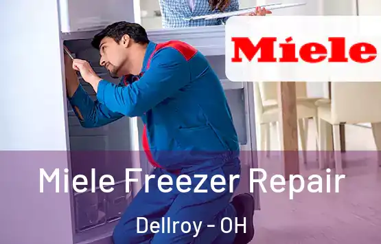  Miele Freezer Repair Dellroy - OH