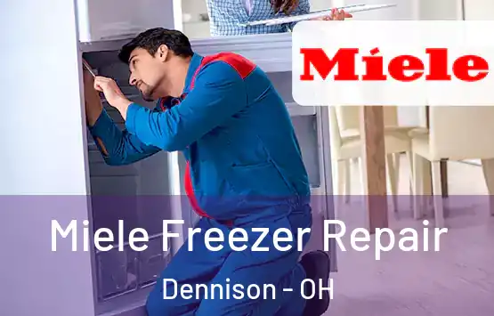  Miele Freezer Repair Dennison - OH
