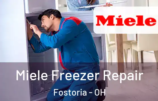  Miele Freezer Repair Fostoria - OH