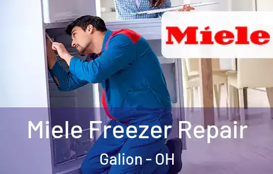  Miele Freezer Repair Galion - OH