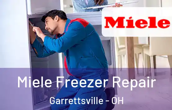 Miele Freezer Repair Garrettsville - OH