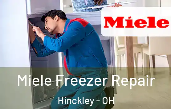  Miele Freezer Repair Hinckley - OH