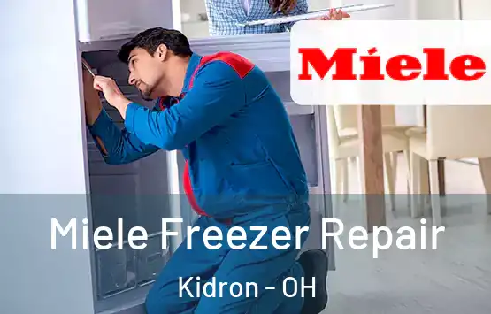  Miele Freezer Repair Kidron - OH