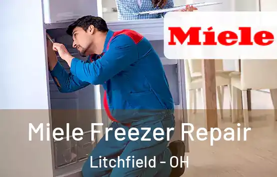  Miele Freezer Repair Litchfield - OH