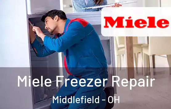  Miele Freezer Repair Middlefield - OH