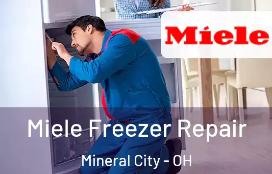  Miele Freezer Repair Mineral City - OH