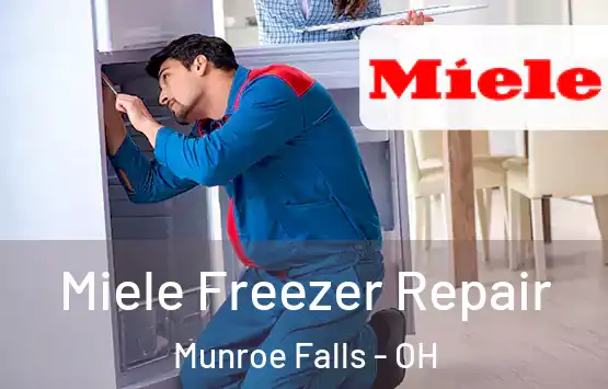  Miele Freezer Repair Munroe Falls - OH