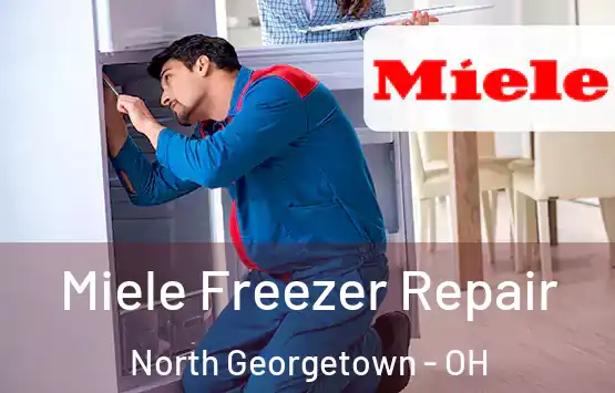  Miele Freezer Repair North Georgetown - OH