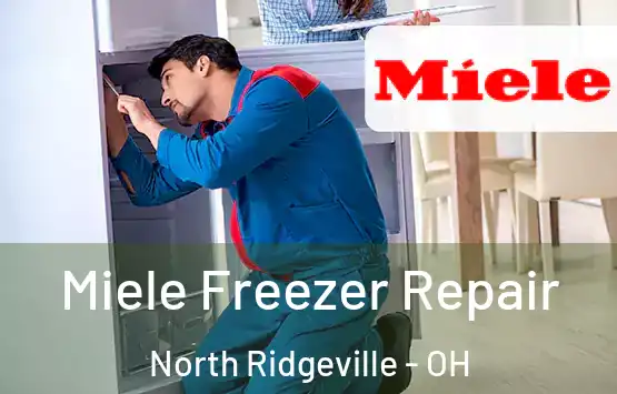  Miele Freezer Repair North Ridgeville - OH