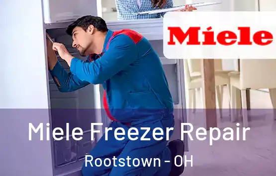  Miele Freezer Repair Rootstown - OH