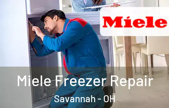 Miele Freezer Repair Savannah - OH
